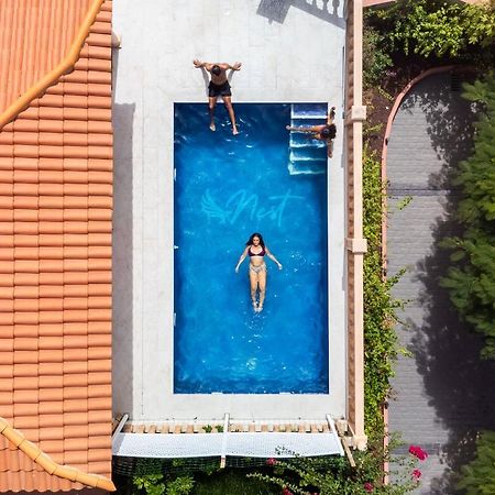 Duque Nest Hostel Costa Adeje  Extérieur photo